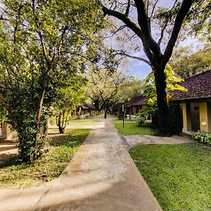 Superior Twin Garden View Discounts on F&B on SPA